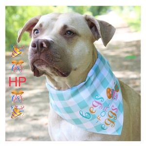 ✅ 5/$15.🎉🎊HP🎊🎉🆕 Vibrant Life Dog Bandana,Green Check M/L